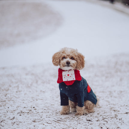 Valentine Love Note Reversible Handmade Baby Bandana