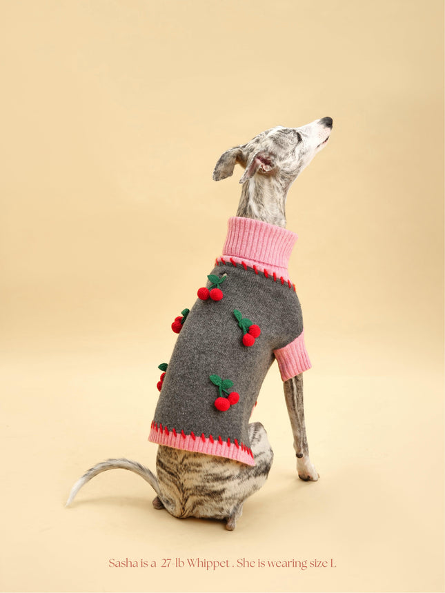 Cherry Kiss Dog Sweater With Two Tone Cherry Charms