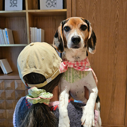 Picnic Bliss Floral Gingham Print Bandana for Small Dogs