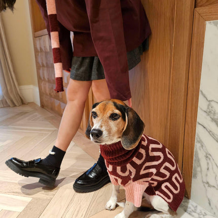 Rosé Bliss Dog Sweater With Pink Wave Turtleneck Wool