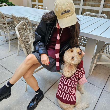 Rosé Bliss Thin Useless Striped Scarf Y2K Pink Dachshund