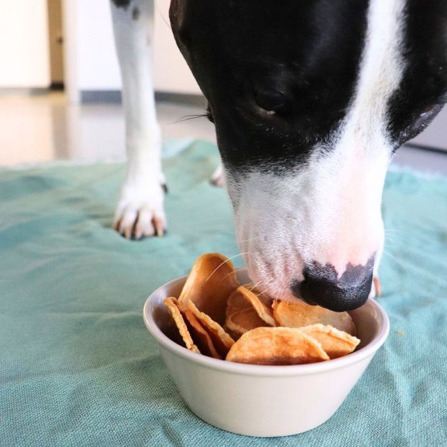 Turkey Tendon Chips Single Ingredient Dog Treat Made In USA