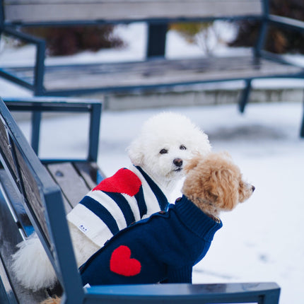 Sailor Of My Heart Striped Turtleneck Dog Sweater Navy