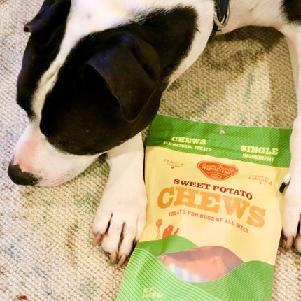 All Natural Sweet Potato Chews for Dogs Made in USA