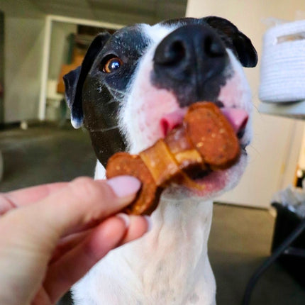 Chicken Wrapped Sweet Potato Bones Dog Treat Protein Packed