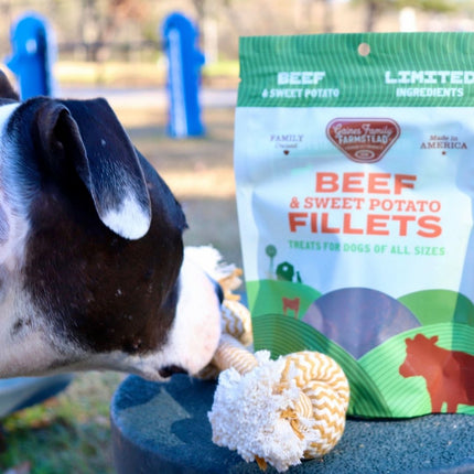 Beef and Sweet Potato Fillets Dog Training Chewy Treats
