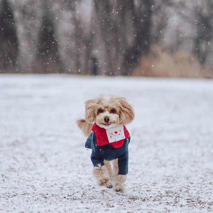 Valentine Love Note Reversible Handmade Baby Bandana