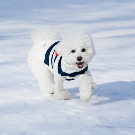 Sailor Of My Heart Striped Turtleneck Dog Sweater Navy