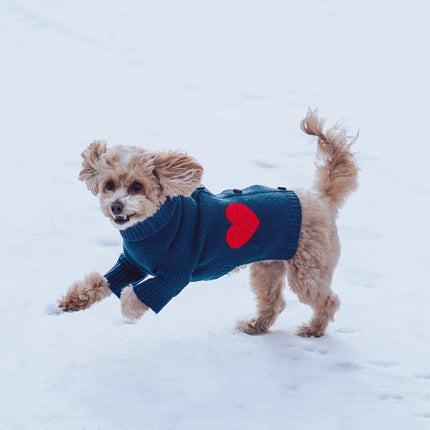 Heart To Heart Navy Button Up Pet Cardigan Sweater