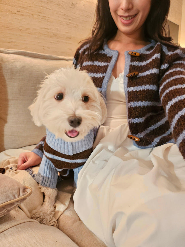 Bluebell Stripes Crop Cardigan Brown And Blue Stretch Knit
