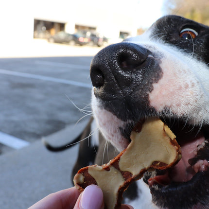 Cheese Drizzled Sweet Potato Bones For Dogs Original Treat