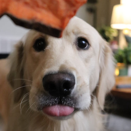 All Natural Sweet Potato Chews for Dogs Made in USA