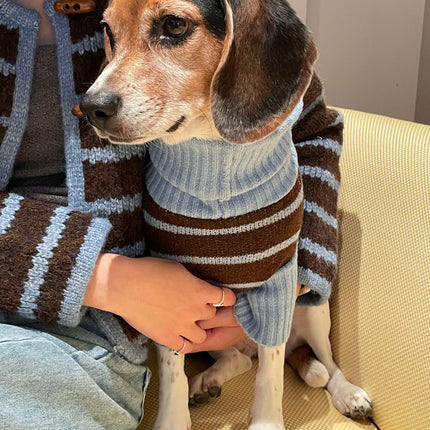 Bluebell Stripes Cozy Knit Sweater For Warm Comfort