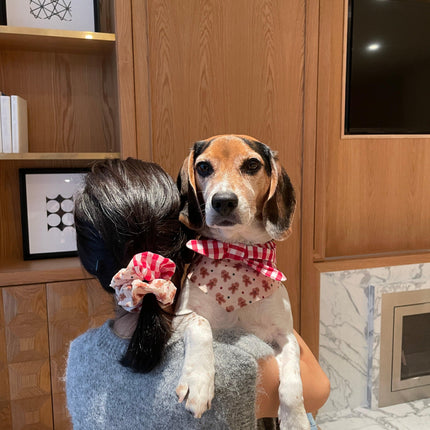 Christmas Gingerbread Man Gingham Scrunchie and Bandana Set
