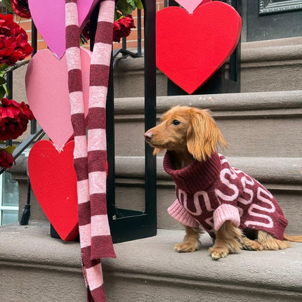 Rosé Bliss Dog Sweater With Pink Wave Turtleneck Wool