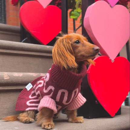 Rosé Bliss Dog Sweater With Pink Wave Turtleneck Wool