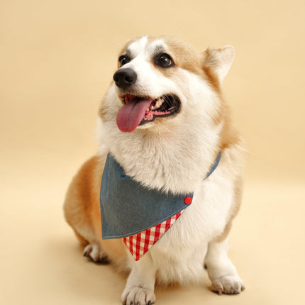 Park Day Denim Gingham Print Handmade Dog Bandana Style