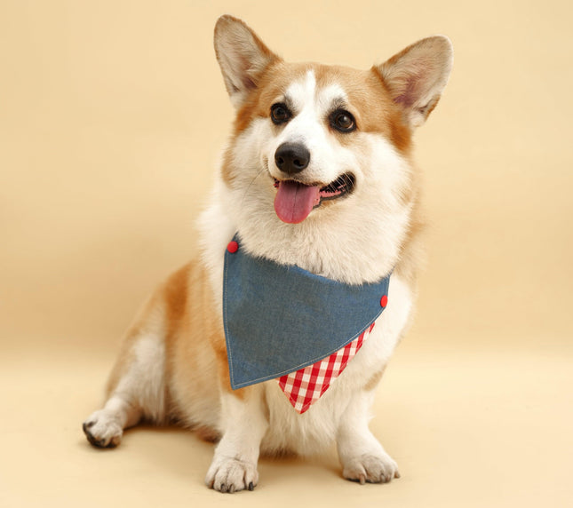 Park Day Denim Gingham Print Handmade Dog Bandana Style