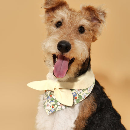Butter Yellow Floral Dog Bandana With Bow Handmade