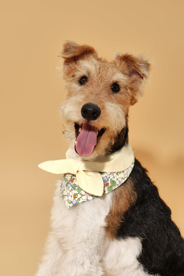 Butter Yellow Floral Dog Bandana With Bow Handmade