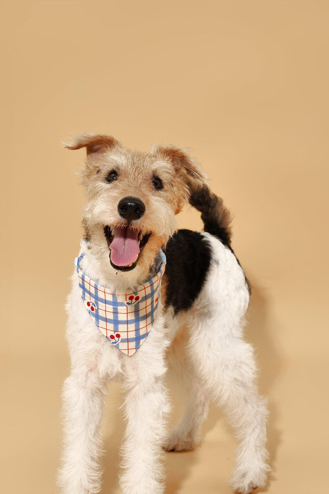 Blue Gingham Cherry Dog Bandana For Pets Lightweight