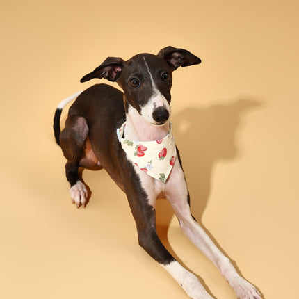 Strawberry Fields Butter Yellow Triangle Dog Bandana