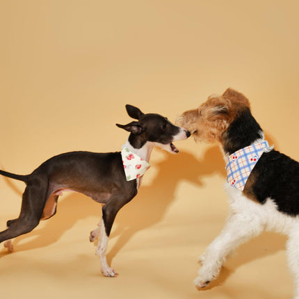 Blue Gingham Cherry Dog Bandana For Pets Lightweight