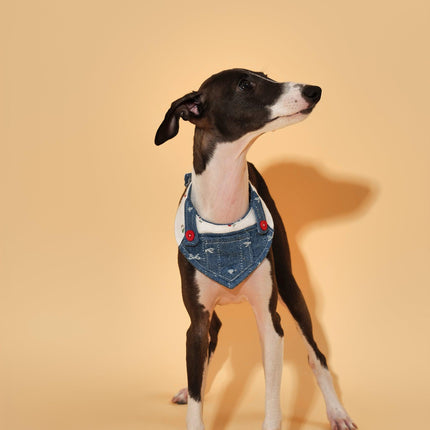 Reversible Denim Cherry Overalls Pet Bandana for Dogs