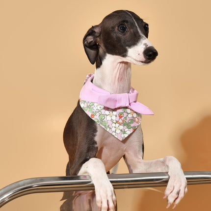 Pink Bowtiful Garden Floral Dog Bandana With Bowtie