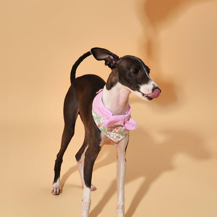 Pink Bowtiful Garden Floral Dog Bandana With Bowtie