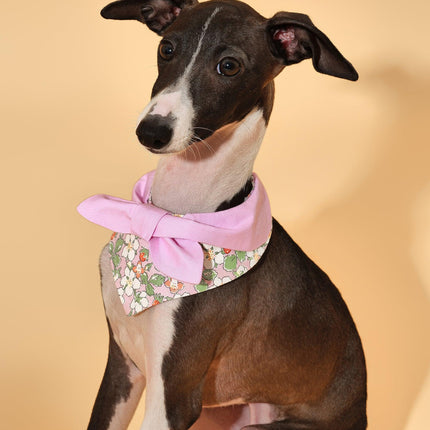 Pink Bowtiful Garden Floral Dog Bandana With Bowtie