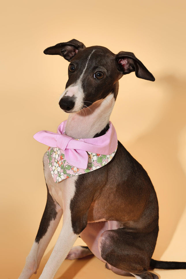 Pink Bowtiful Garden Floral Dog Bandana With Bowtie