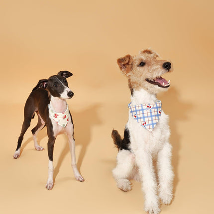 Strawberry Fields Butter Yellow Triangle Dog Bandana