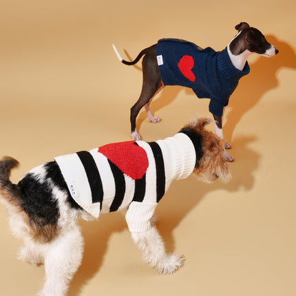 Sailor Of My Heart Striped Turtleneck Dog Sweater Navy
