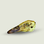 1 ct