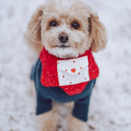 Valentine Love Note Reversible Handmade Baby Bandana